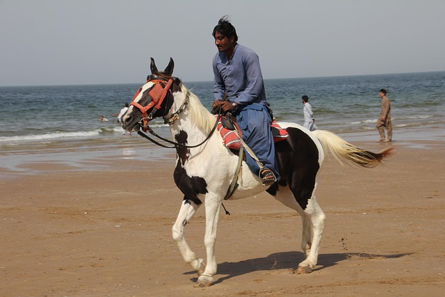 Free Hourseriding Beach photo and picture
