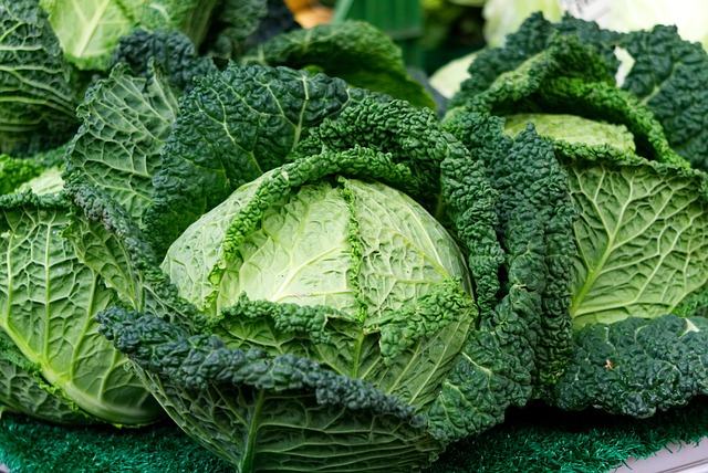 Wirsing, Kohl, Gemüse, Wirsingkohl