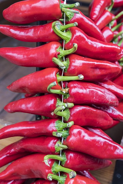 Free Peppers Red photo and picture
