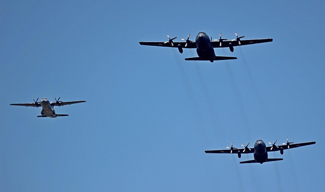 Free Airshow The Army photo and picture