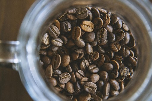 Café, Sementes, Semente, Brown, Copo
