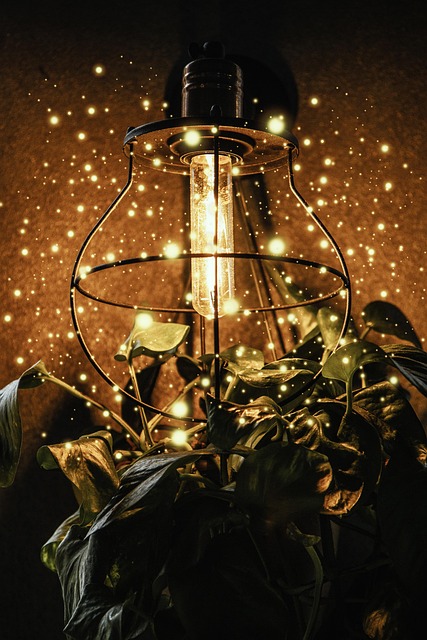 Magia, Momento, Luminária, Luz