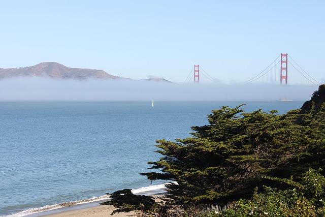 Free Bridge San Francisco photo and picture