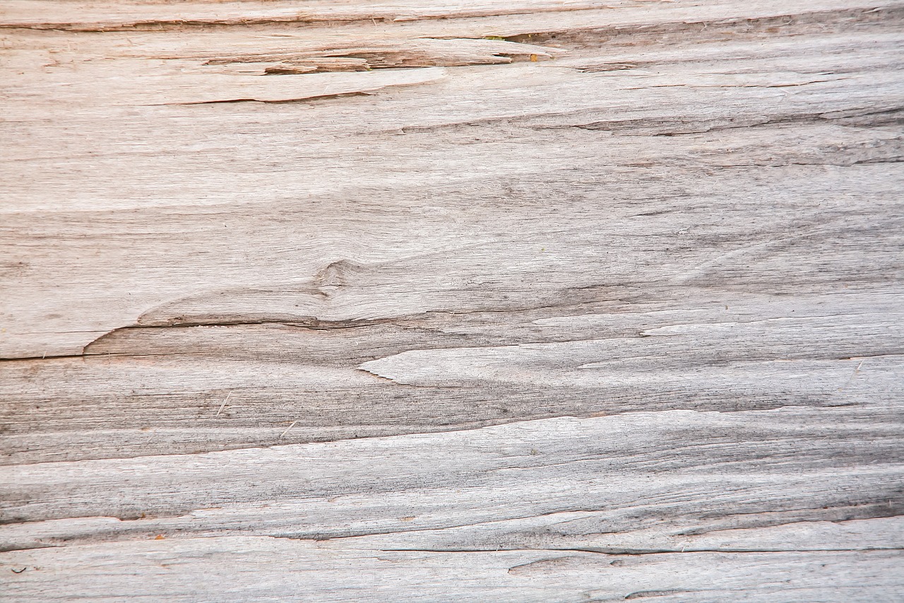 Template Wood Grain - Free photo on Pixabay