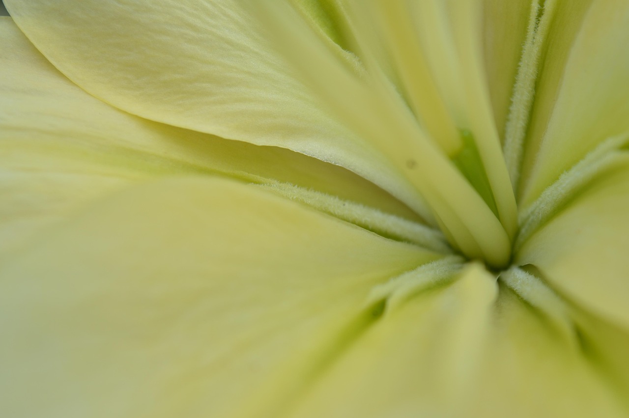 Pixabay Pixabay pixabay-pixabay