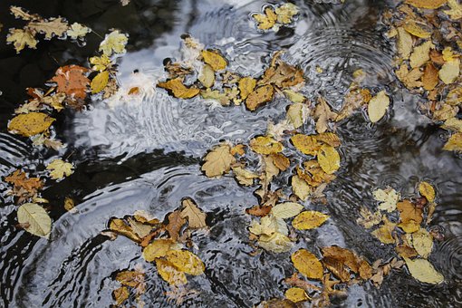 Free Water Sheets photo and picture