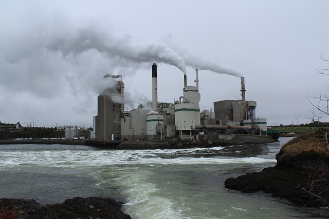 Free Paper Mill St John photo and picture