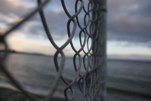 Free Fence Beach photo and picture