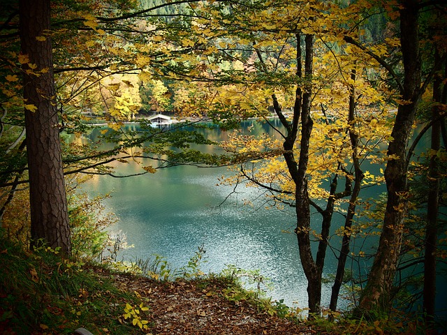 Free Lake Fall photo and picture