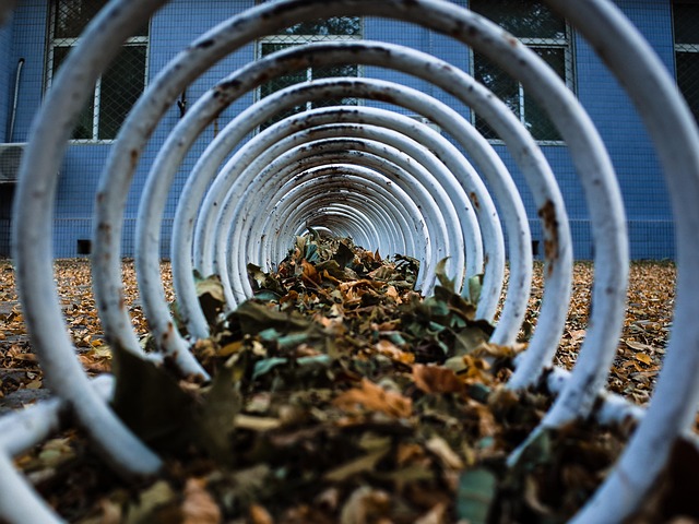 Herbst, Jahreszeit, Pflanze, Die Blätter