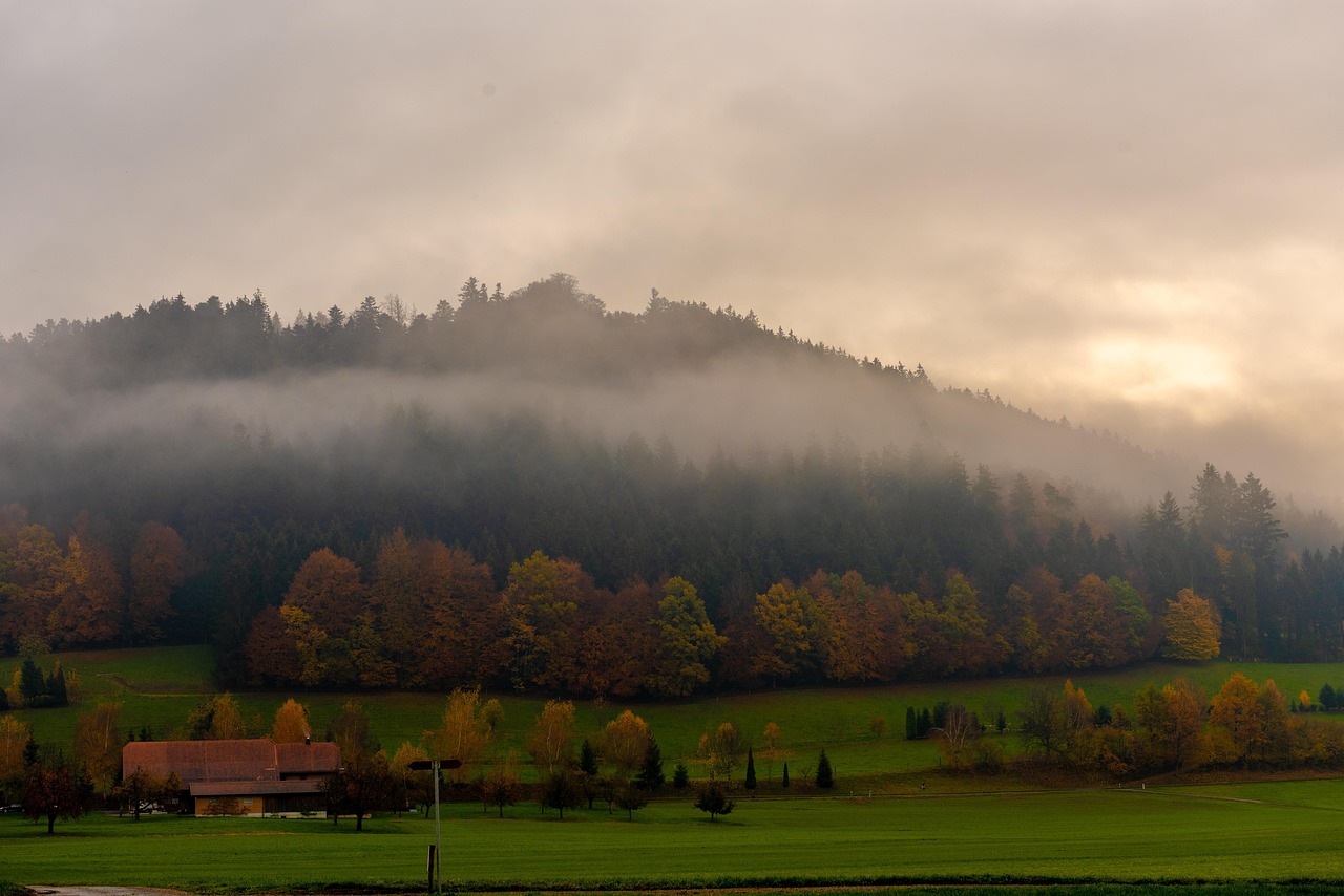 Haze - free online jigsaw puzzle photo