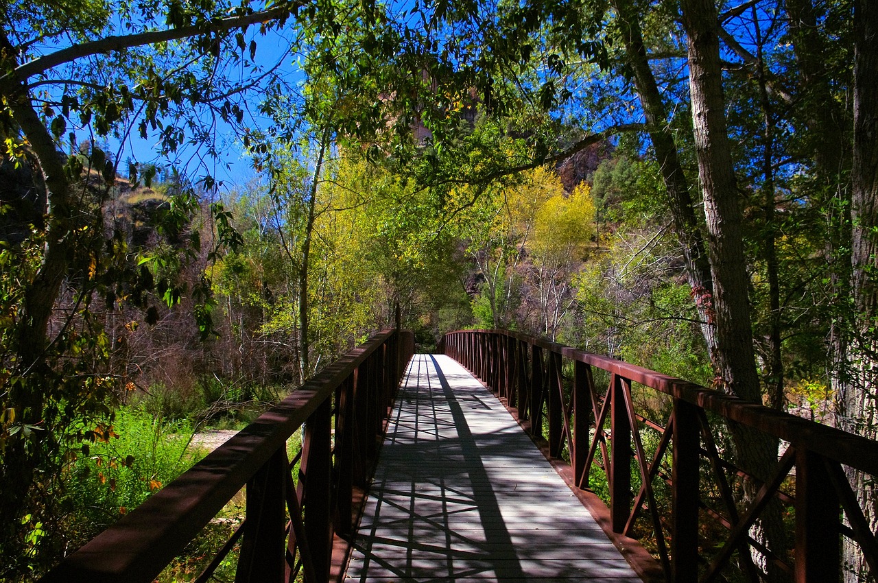 Gila Trail Foot Bridge - free online jigsaw puzzle photo