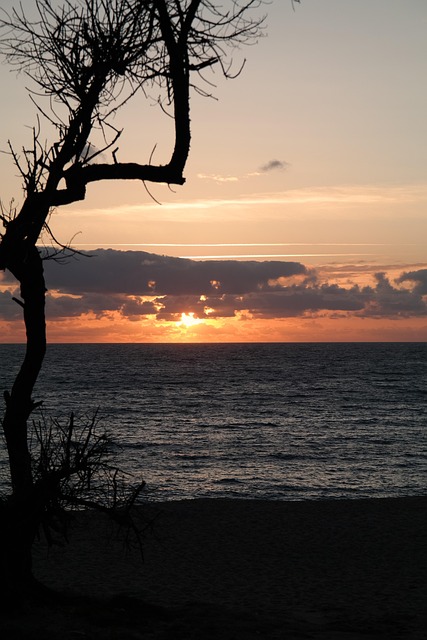 Free Sunset Sea photo and picture