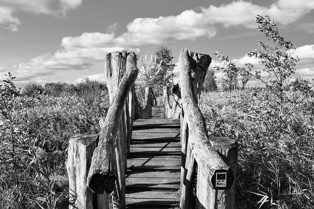 Brug, Wolken, Zwart-Wit, Landschap, Wolk