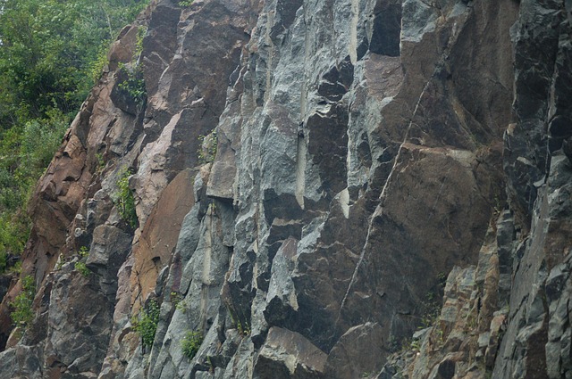 Free Rock Forest photo and picture
