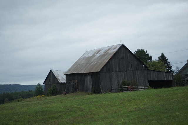 Free Barn Field photo and picture