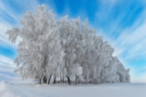 Free Winter Nature photo and picture