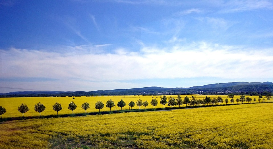 54+ Gambar Pemandangan Landscape Paling Keren 54+ Gambar Pemandangan Landscape Paling Keren