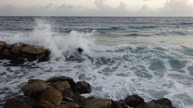 Free Wave Sea photo and picture