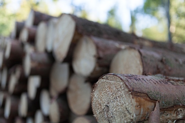 Free Wood Tribes photo and picture