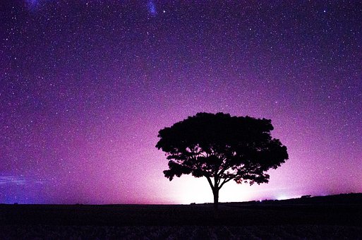 Cielo, Estrella, Oscuro, Noche