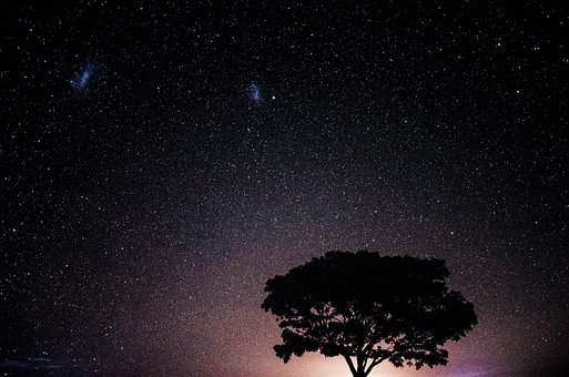 Cielo, Estrellas, Árbol, Espacio, Star