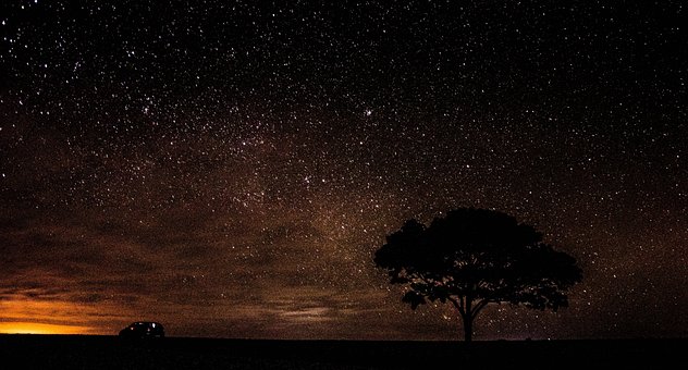 Cielo, Estrellas, Noche, Universo, Star