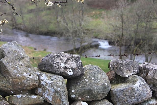 Free Yorkshire England photo and picture