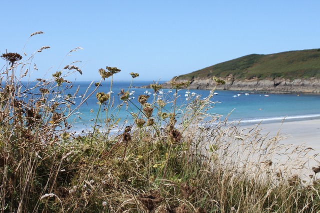 Free France Brittany photo and picture