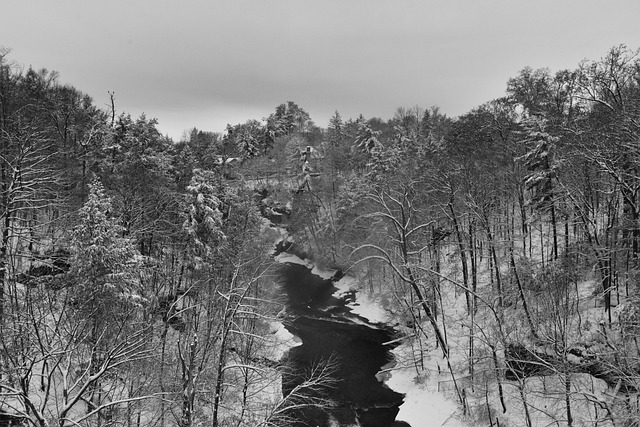 Free Winter Landscape Snow Day photo and picture