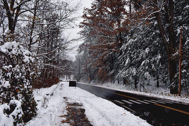 Winter road, winter landscape, snow day and snow landscape — photo by PPPSDavid