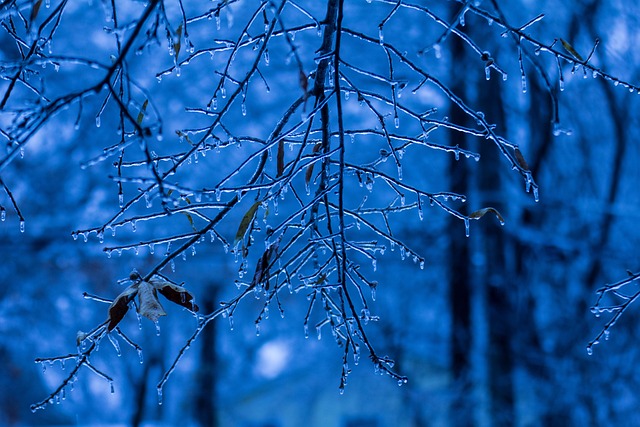 Free Nature Blue photo and picture