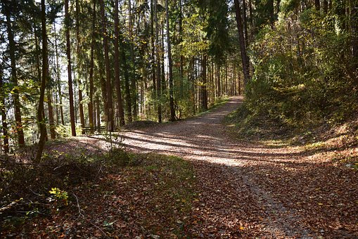 Free Fall Path photo and picture