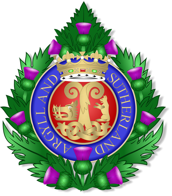 Free veteran soldier capbadge illustration