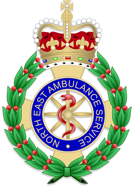 Veteran, Ambulanz, Capbadge, Denkmal