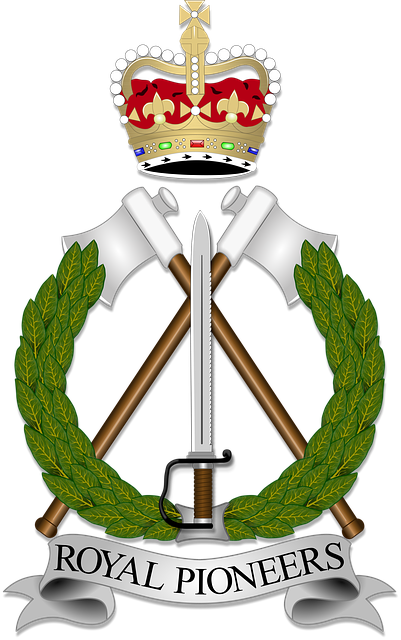 Free veteran soldier capbadge illustration