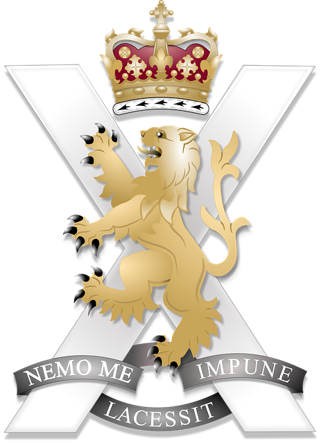Free veteran soldier capbadge illustration
