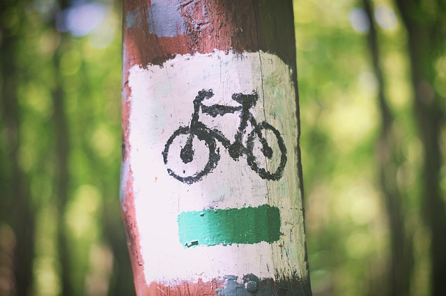 Skilt, Cykel, Vej, Symbol, Sti, Cykler