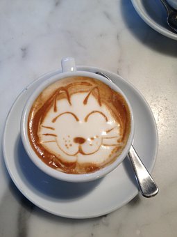 Coffee, Cat, Whisker, Animal
