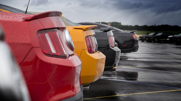Shelby, Muscle Car, Car, Mustang