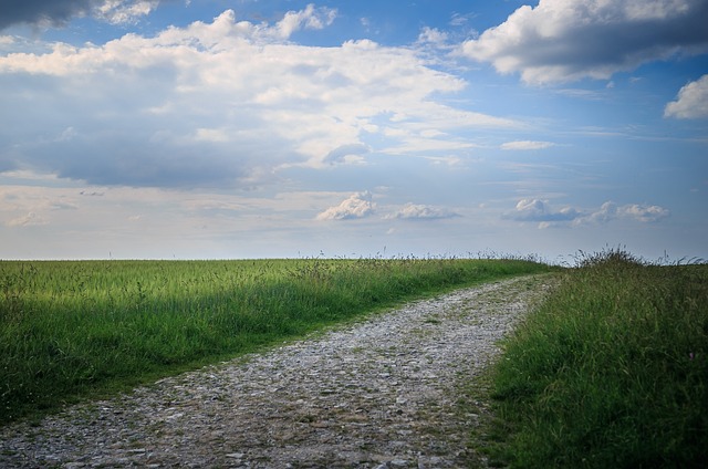 Free Dirt Road Spring photo and picture