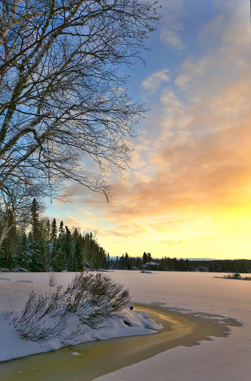 Cold Jpg Landscape Winter Cold - Free photo on Pixabay