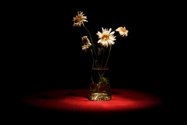 Bloem, Bloemen, Bloeien, Flora, Planten