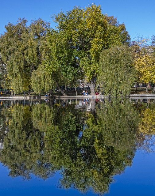 Parc, Reflexie, Lac, Natura