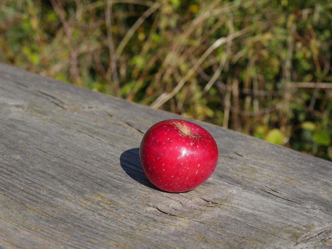 Apfel Obst Rot - Kostenloses Foto auf Pixabay
