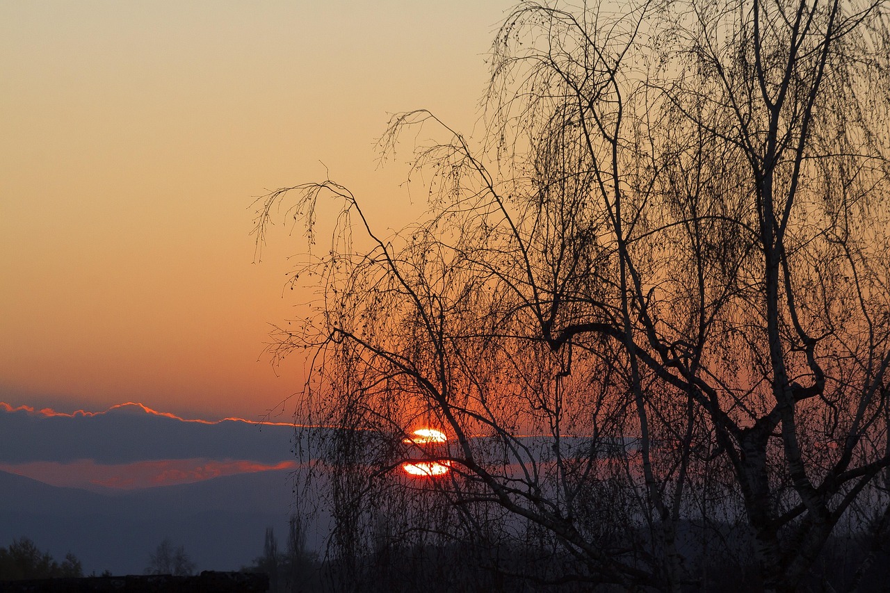 6000 多张免费的“傍晚”和“傍晚的太阳”照片 - Pixabay