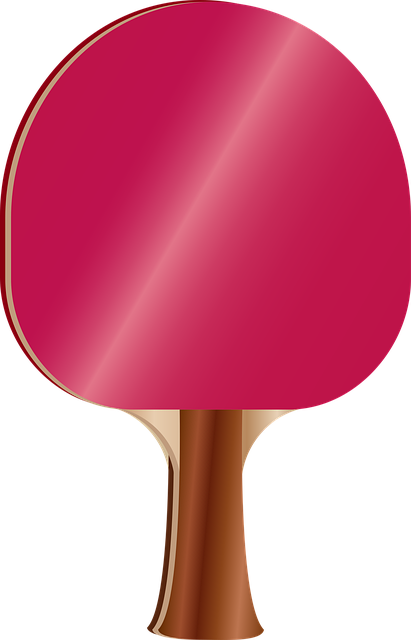 Pingpongpaddle, Ping Pong, Paleta, Juego