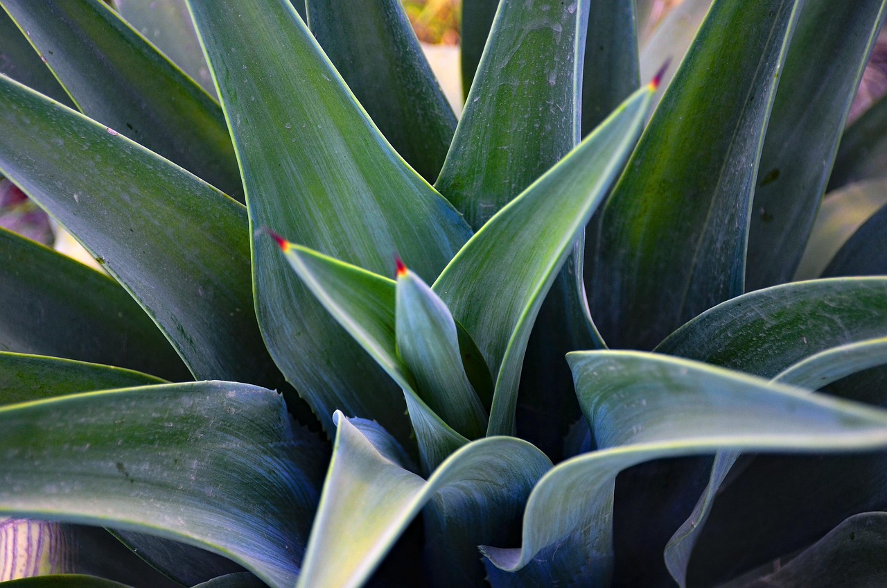 Nature Abstract - free online jigsaw puzzle photo