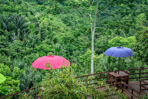 Bali, Indonesien, Rejse, Udendørs, Ferie