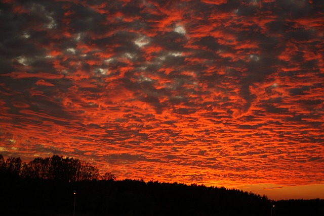 Free Sky Clouds photo and picture